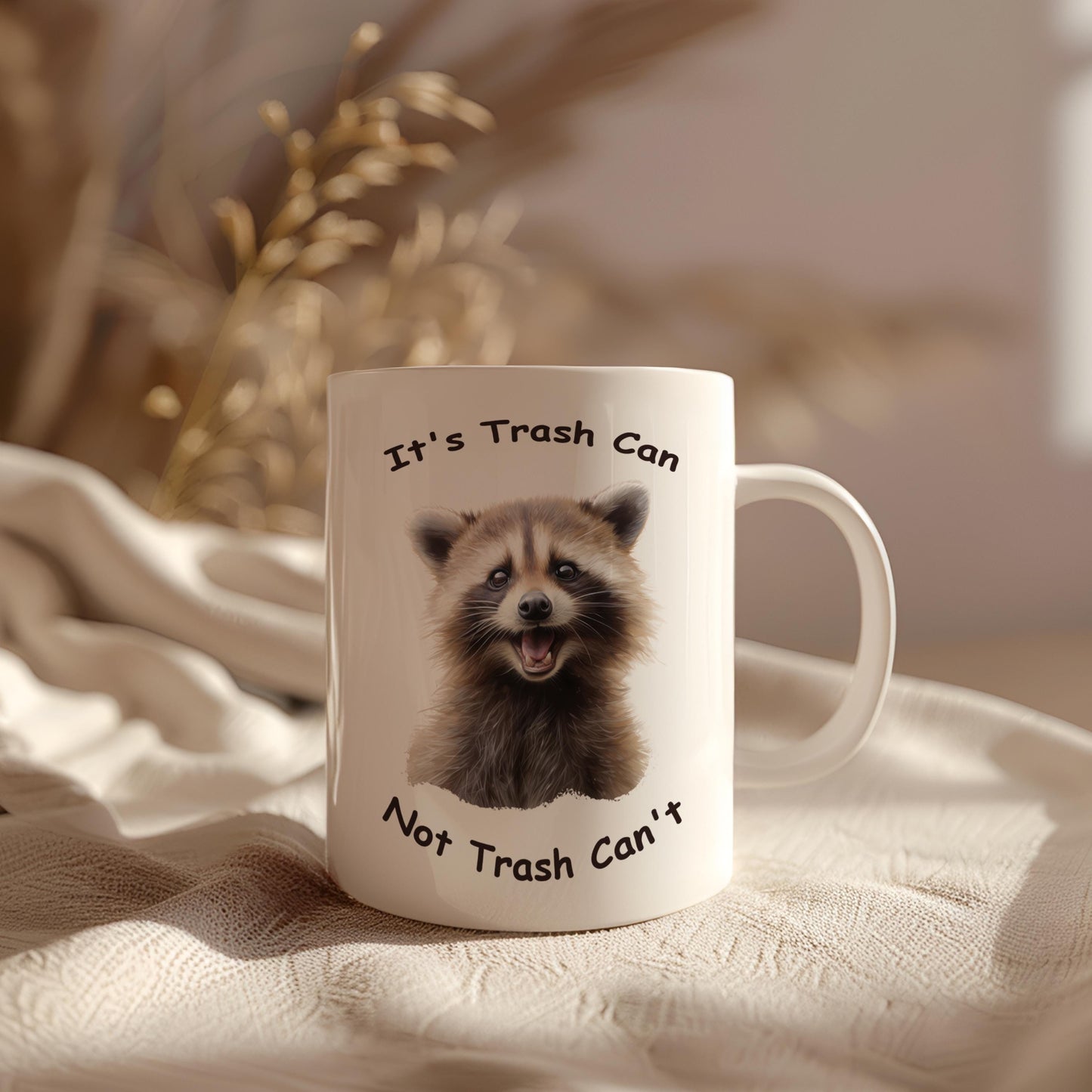 Mug Raccoon With Funny Saying, Coffee Mug, Sarcastic Phrase, Tea Cup With Humor Text, Funny Gifts for Animal Lovers, Raccoon Lovers gift